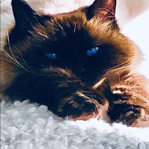 Meet your Posher, Derek